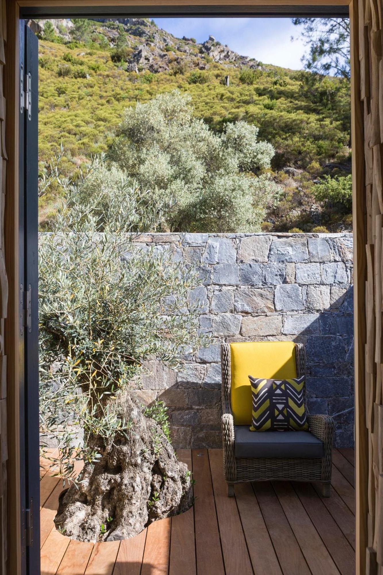 Dominique Colonna Corte (Corsica)